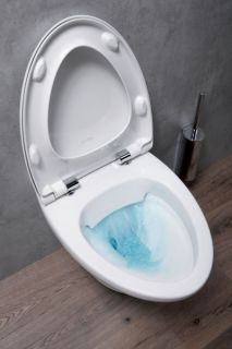 Чаша подвесного унитаза Jacob Delafon NOUVELLE VAGUE EDJ102-00